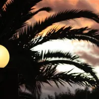 camping-la-gaviota-sant-pere-pescador-p5tmx