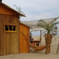 camping-la-gaviota-sant-pere-pescador-rexkw
