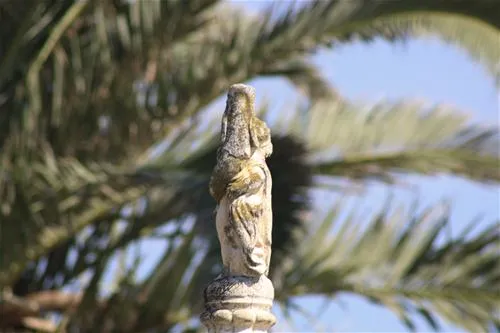 camping-la-gaviota-sant-pere-pescador-ucnbu