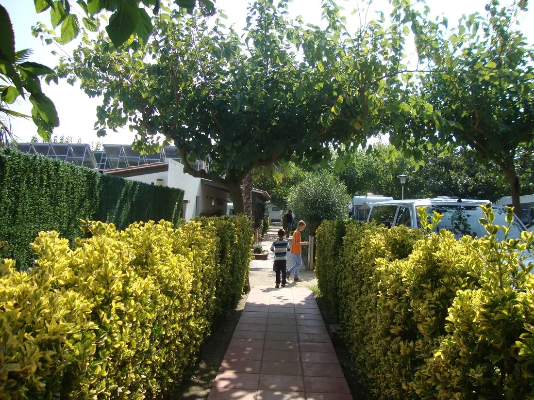camping-la-gaviota-sant-pere-pescador-zpduo