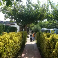 camping-la-gaviota-sant-pere-pescador-zpduo