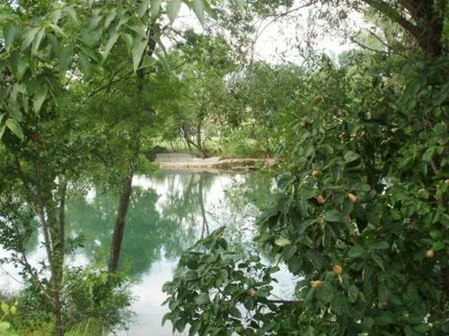 river-camp-half-island-buna-bunamostar-ehdyr