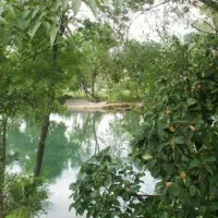 river-camp-half-island-buna-bunamostar-ehdyr