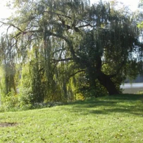 camping-chossewitzer-see-friedland-ot-chossewitz-6ddia