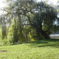 camping-chossewitzer-see-friedland-ot-chossewitz-6ddia