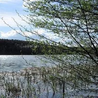 camping-chossewitzer-see-friedland-ot-chossewitz-ljgty