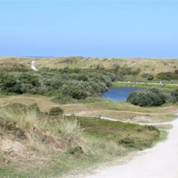 camping-duincamping-de-lepelaar-sint-maartenszee-0r0np