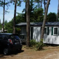 Camping Le Havre De La Gachere