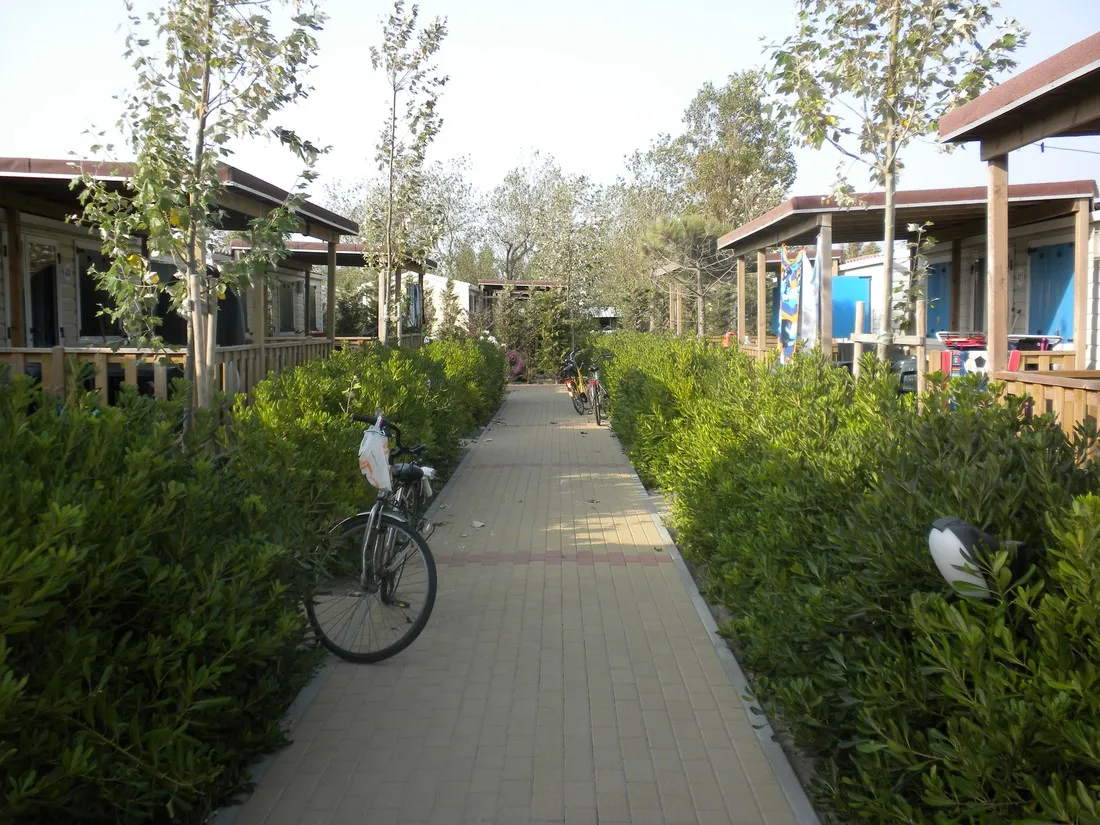 camping-rosapineta-sud-rosolina-mare-15azz