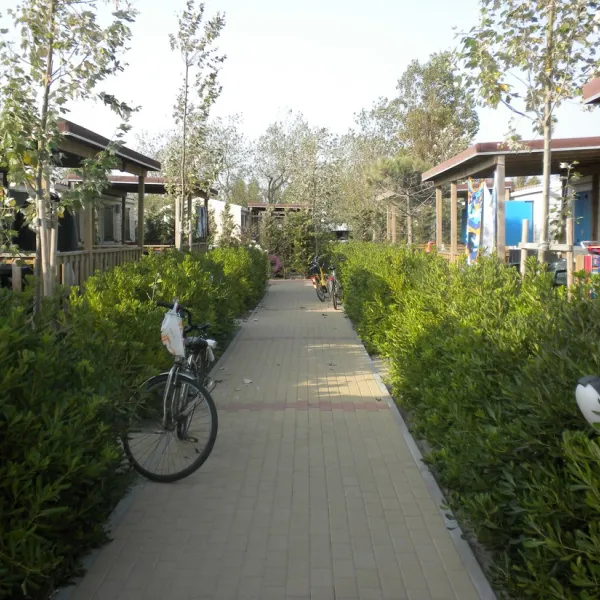 camping-rosapineta-sud-rosolina-mare-15azz