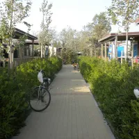 camping-rosapineta-sud-rosolina-mare-15azz