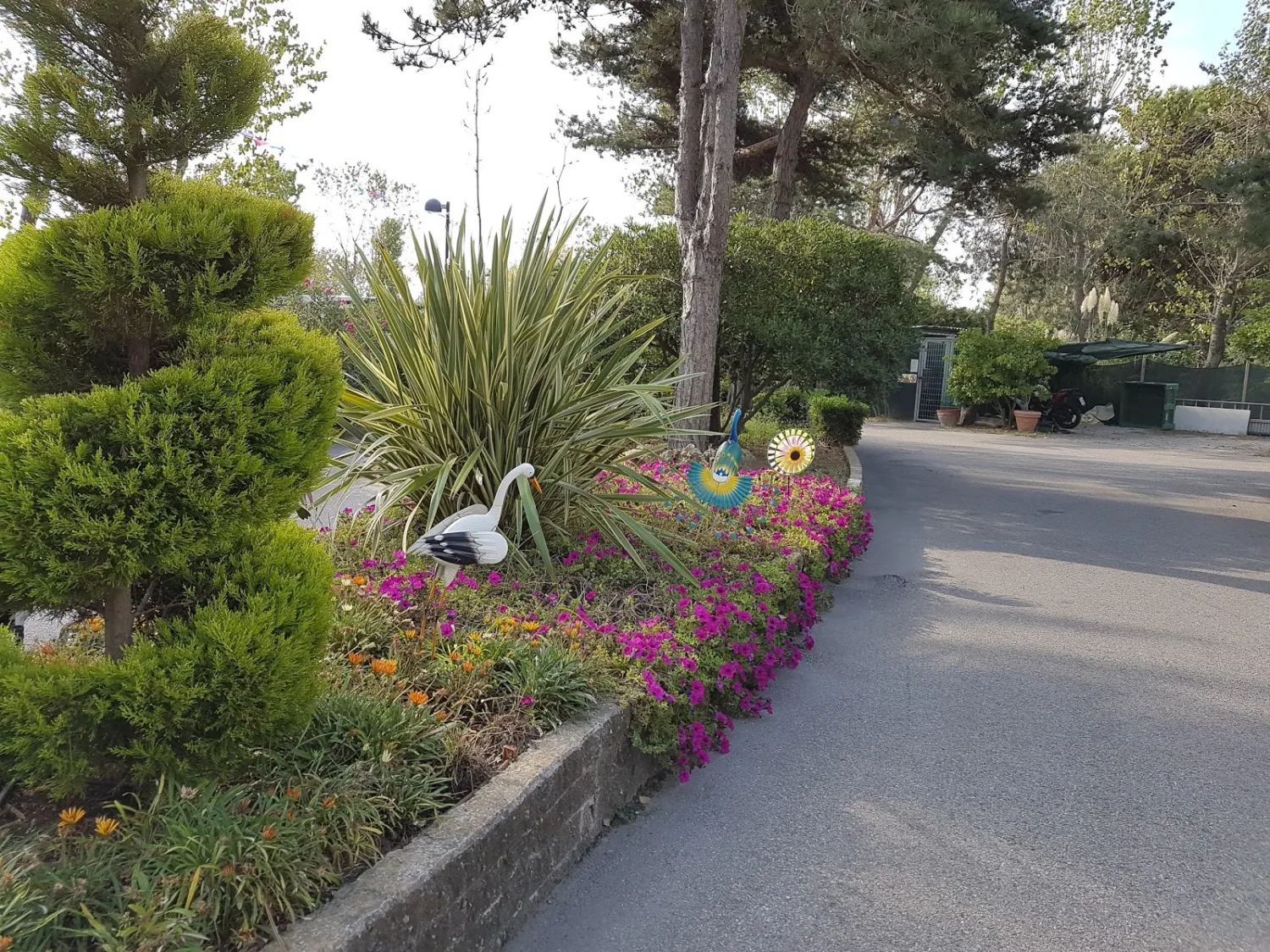 camping-rosapineta-sud-rosolina-mare-3lahr