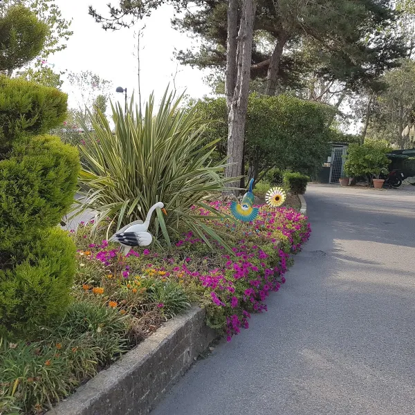 camping-rosapineta-sud-rosolina-mare-3lahr