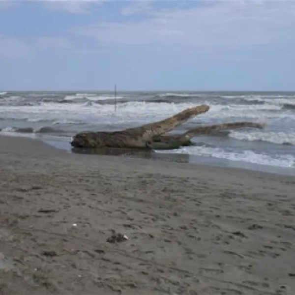 camping-rosapineta-sud-rosolina-mare-rhtno
