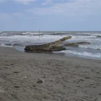 camping-rosapineta-sud-rosolina-mare-rhtno