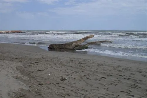 camping-rosapineta-sud-rosolina-mare-vmpq0