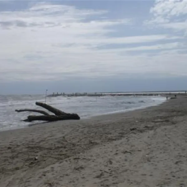 camping-rosapineta-sud-rosolina-mare-zwyfj
