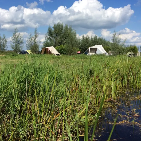 het-waterhoentje-sint-jansklooster-ddydb