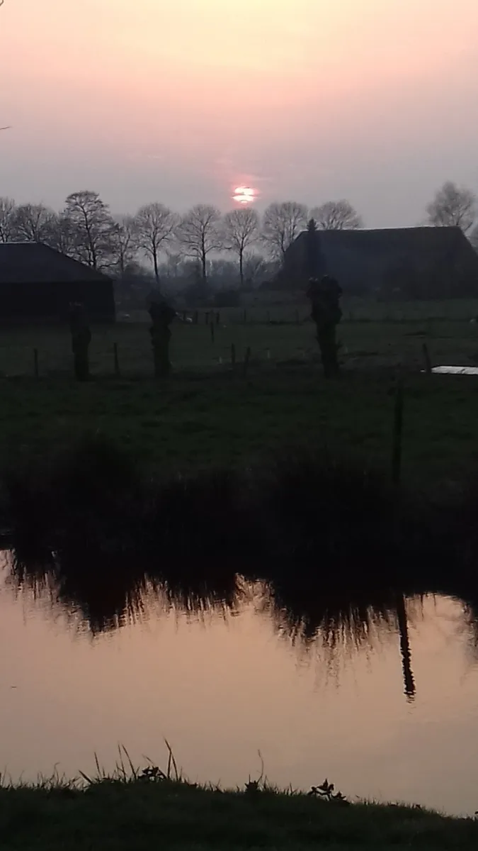 het-waterhoentje-sint-jansklooster-zwkwf
