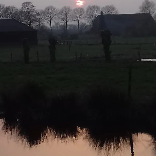 het-waterhoentje-sint-jansklooster-zwkwf