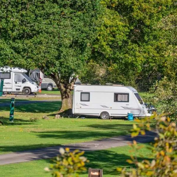 cobleland-campsite-aberfoyle-idnxz