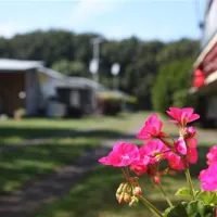 camping-und-mobilheimplatz-am-eichholz-gnarrenburg-hljyo