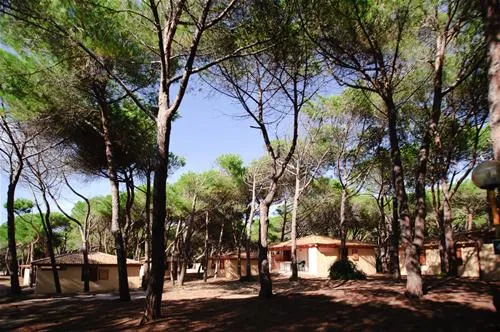 is-arenas-camping-village-narbolia-13dk0