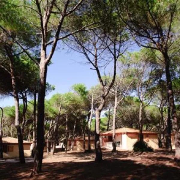is-arenas-camping-village-narbolia-13dk0