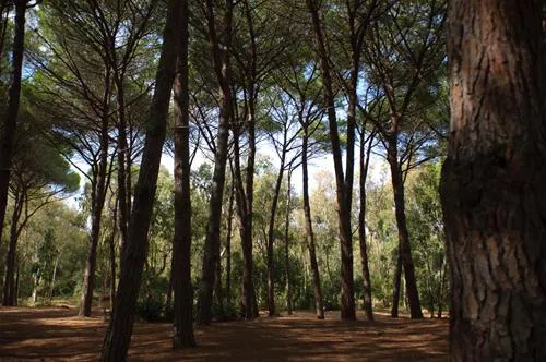is-arenas-camping-village-narbolia-fnlef