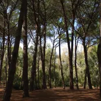 is-arenas-camping-village-narbolia-fnlef
