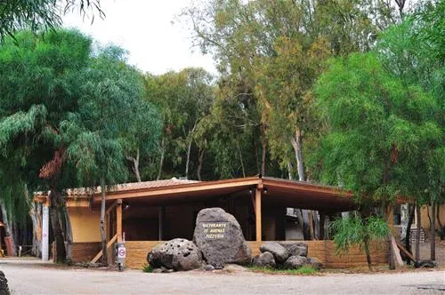 is-arenas-camping-village-narbolia-fvlv1