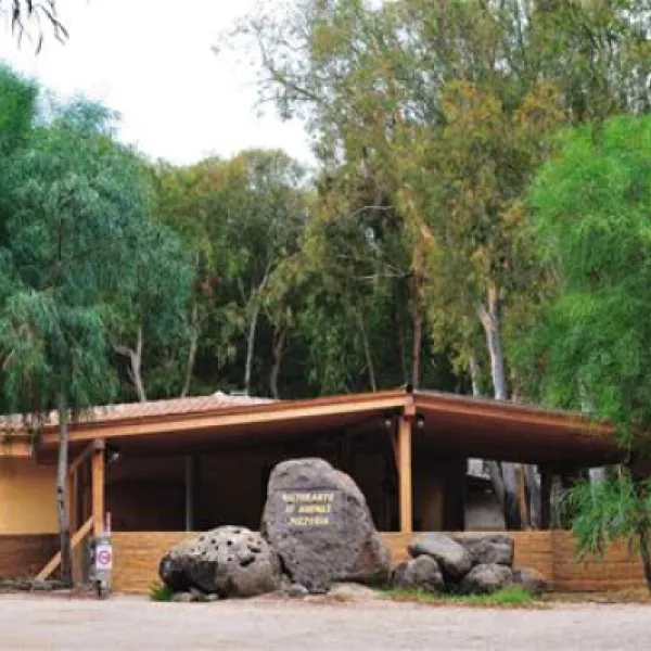is-arenas-camping-village-narbolia-fvlv1