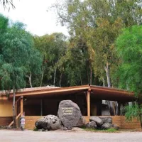 is-arenas-camping-village-narbolia-fvlv1
