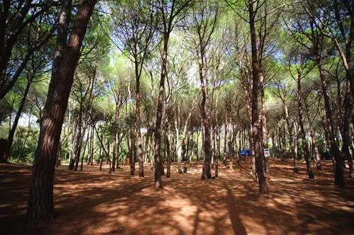 is-arenas-camping-village-narbolia-ksjvs