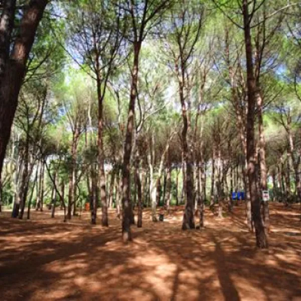 is-arenas-camping-village-narbolia-ksjvs
