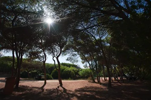 is-arenas-camping-village-narbolia-pwsmi