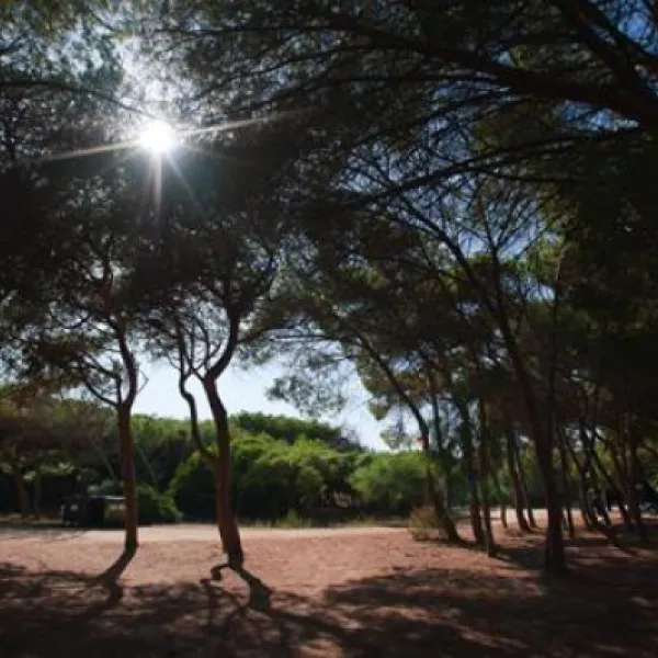 is-arenas-camping-village-narbolia-pwsmi