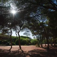 is-arenas-camping-village-narbolia-pwsmi