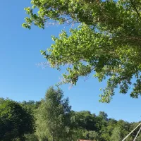 Camping Cpg De Verdure Les Cerisiers