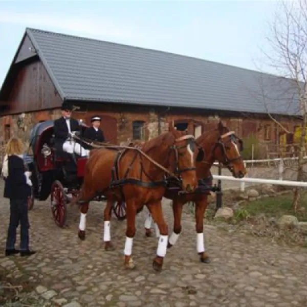 camping-stary-folwark-lipinki-luyckie-lpudd