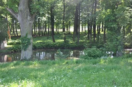 camping-stary-folwark-lipinki-luyckie-sqkr2