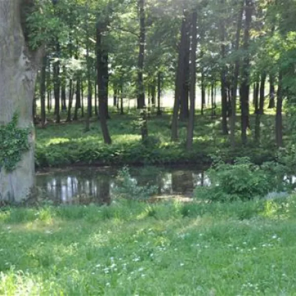 camping-stary-folwark-lipinki-luyckie-sqkr2