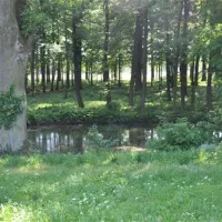camping-stary-folwark-lipinki-luyckie-sqkr2