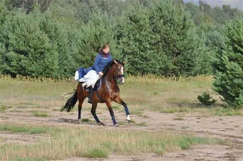 camping-stary-folwark-lipinki-luyckie-ug2as
