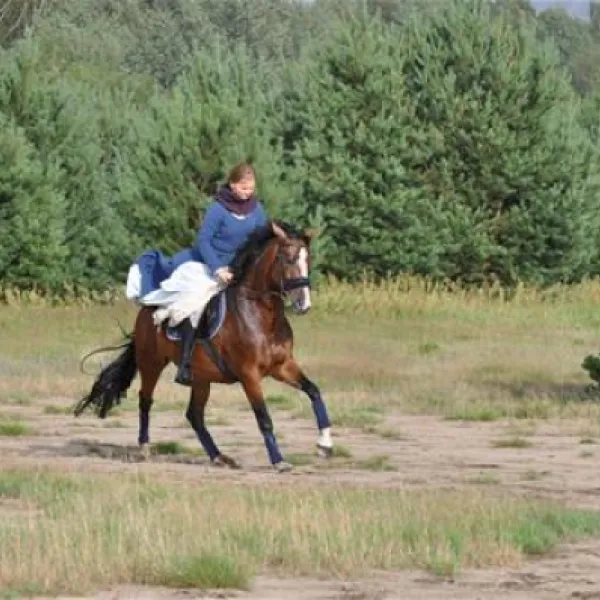 camping-stary-folwark-lipinki-luyckie-ug2as