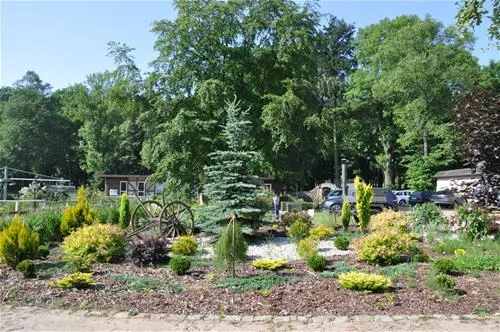 camping-stary-folwark-lipinki-luyckie-zqnhp