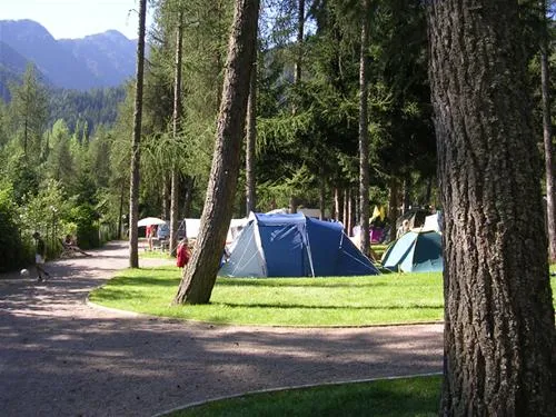 camping-cevedale-fucine-di-ossana-btroe