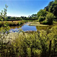 greetham-retreat-cl-horncastle-f22jv