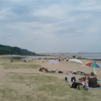 campingplatz-elbe-camp-hamburg-au8ze