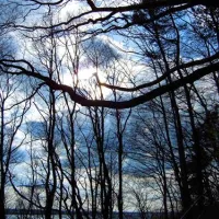 campingplatz-elbe-camp-hamburg-azddh